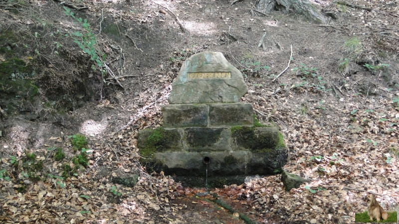 Ritterstein Nr. 142-7 Heidenbrunnen 100 Schr..JPG - Ritterstein Nr.142  Heidenbrunnen 100 Schr.                               